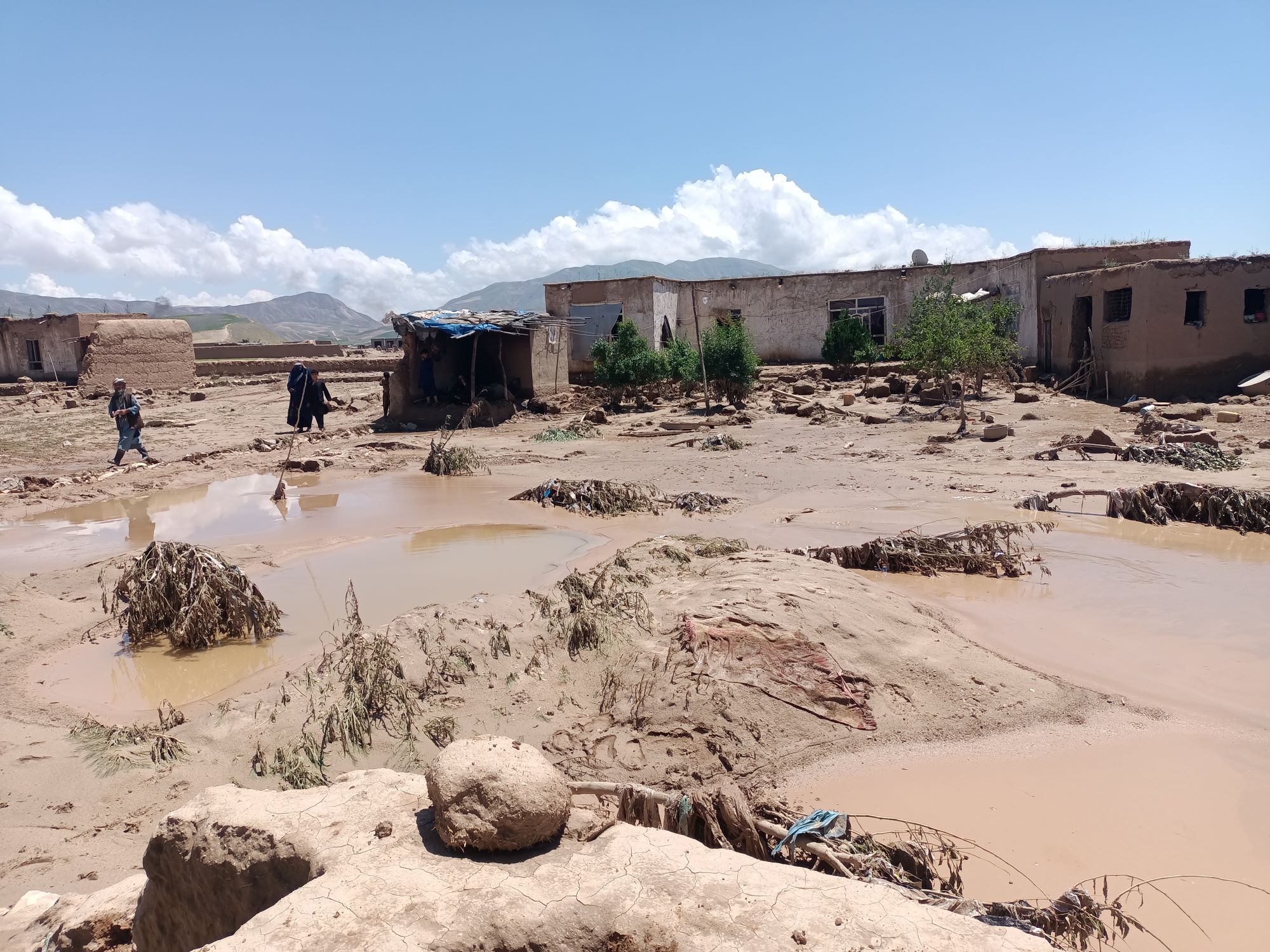 Fermiamo la violenza di genere